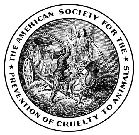 American Society For The Prevention Of Cruelty To Animals Logopedia