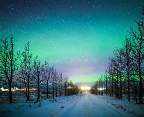 Northern Lights Aurora Borealis Over Trees Stock Photo Image Of