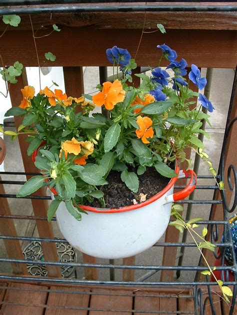 Flower delivery ottawa & surrounding area. Flowers in an old cooking pot. | Flower pots, Flowers ...