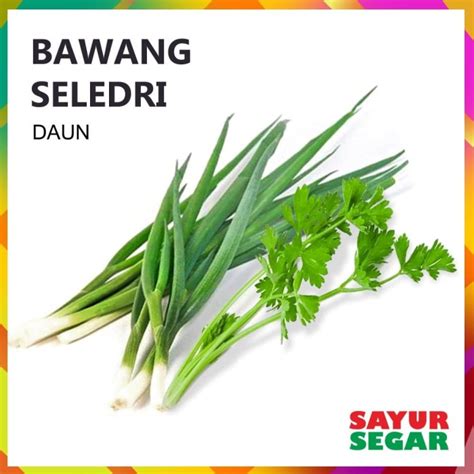 Jual Daun Bawang Seledri Sayur 1 Paket Kota Depok Sayur Segar