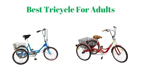 5 Best Tricycle For Adults Youtube