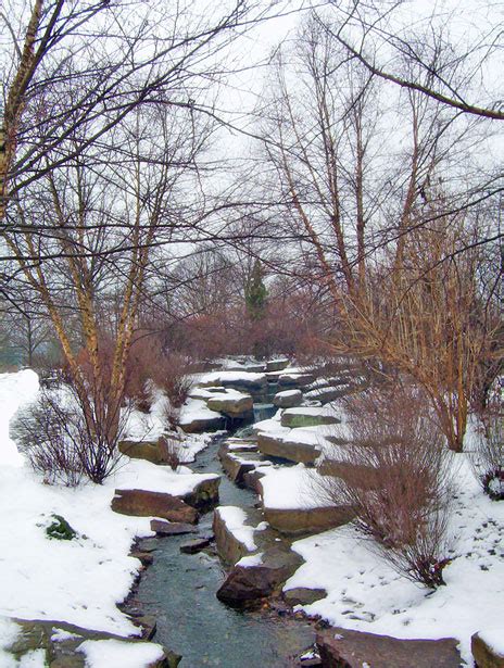 Creek And Snow Free Stock Photo Public Domain Pictures