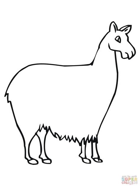 Llama Line Drawing At Getdrawings Free Download