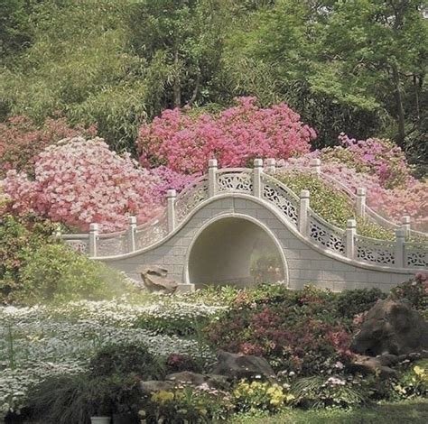Flower Bridge Nature Aesthetic Scenery Dream Garden