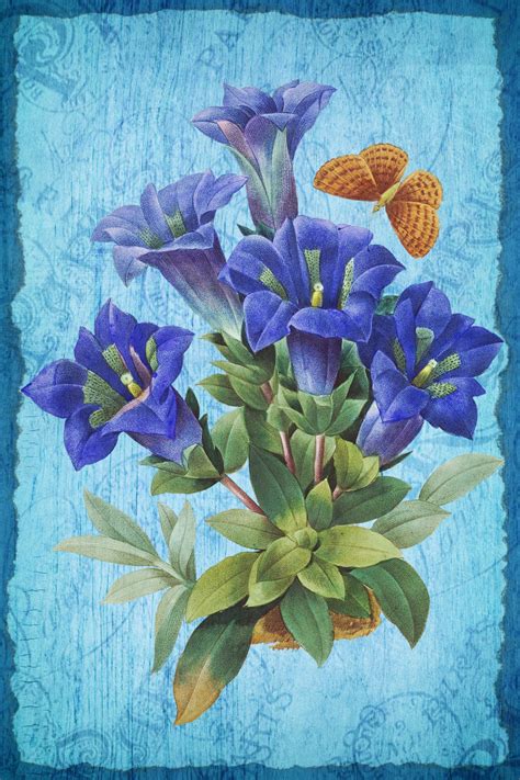 Vintage Art Floral Butterfly Free Stock Photo - Public Domain Pictures