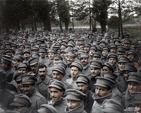 A Perplexidade Causada Pela Catástrofe Da Primeira Guerra Mundial