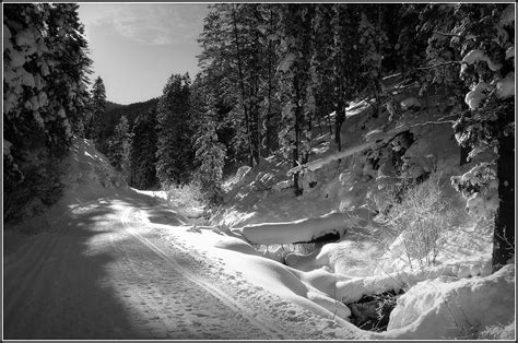 Winter In Black And White Winter Scenes Black And White Photography