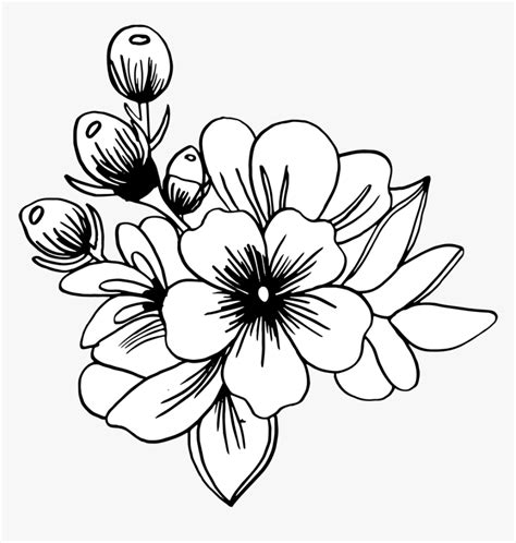 Black And White Hand Drawn Flower Png Transparent Png Kindpng