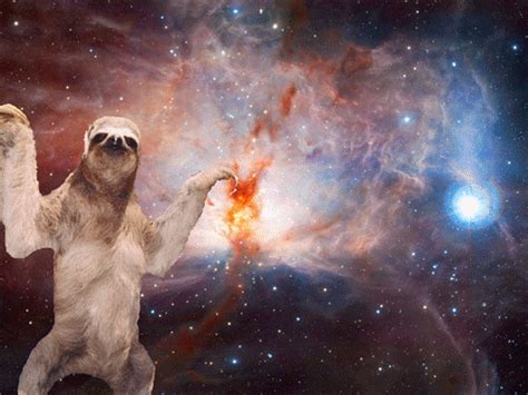 50 Space Sloth Wallpapers WallpaperSafari