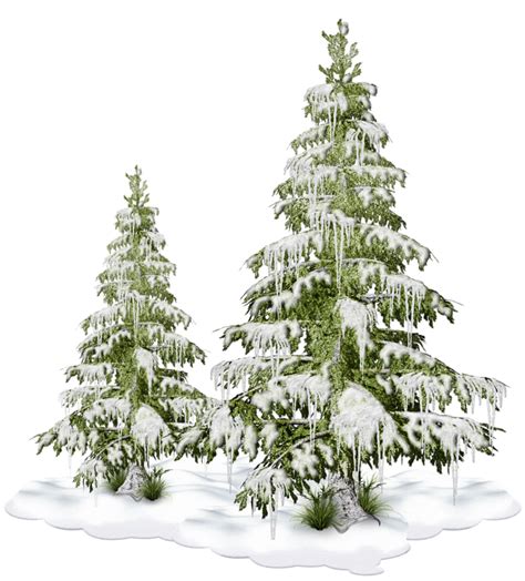 Snow Covered Christmas Tree Png Digital Premium Gambar