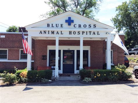 Blue cross animal hospital is a full service pet hospital located in honolulu, hawaii that specializes in small animals. Blue Cross Animal Hospital | Veterinarian