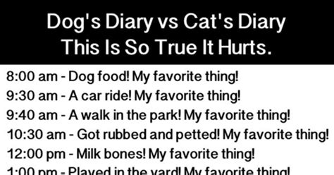 This Dog And Cat Diary Comparison Proves Why The Argument Is Still