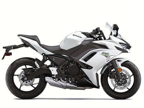 I'm supposed to be buying a bike in a few weeks but it legit looks like zebra print to me. Kawasaki Ninja 650 ABS (2020) - 2ri.de