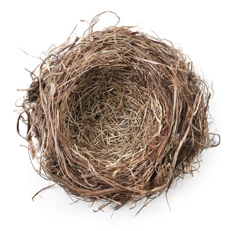 Graduating To The Empty Nest Your Marriage After Raising Children