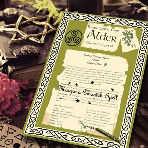 Alder Celtic Tree Sacred Druid Tree Lore Instant Download Etsy