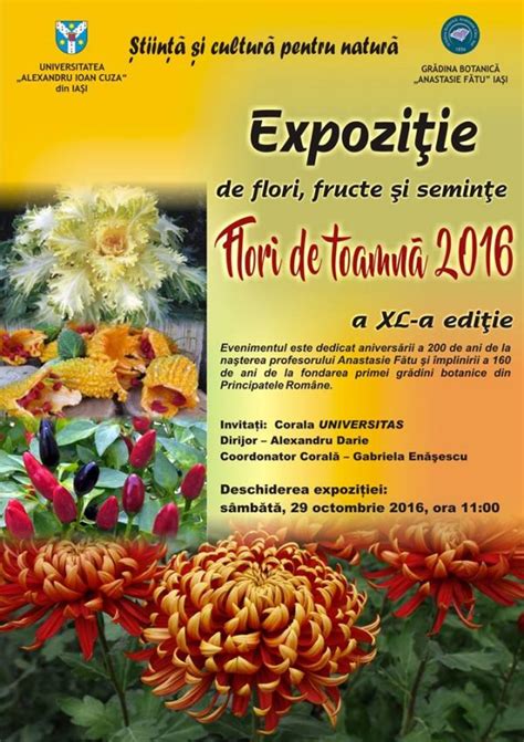 Flori De Toamna 2016 Expozitie De Flori Fructe Si Seminte