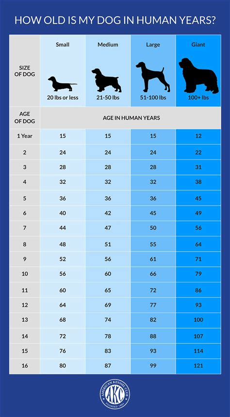 How Old Is My Dog In Human Years Dog To Human Years Chart Dog Age