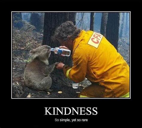 31 Best Animal Kindness Images On Pinterest