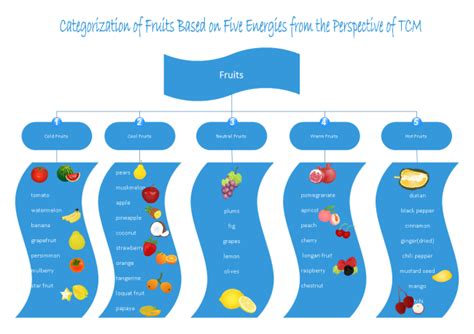 Tree Diagram Categorization Of Foods
