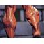 Muscle Building Blog » Archive Bad Bodybuiders And Calves Training 