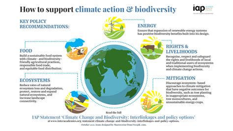 Climate Change And Biodiversity How To Support Climate Action And Biodiversity Infographic