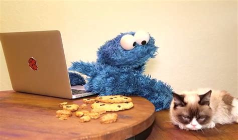 Cookie Monster Grumpy Cat Breaktheinternet Rtm Rightthisminute
