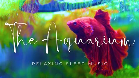 11 Hours Of Relaxing Music For Deep Sleep Study Meditation With The
