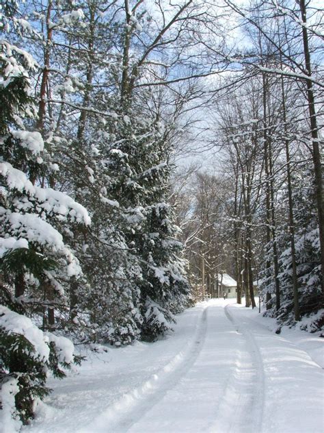 Country Driveway In Snow Free Photo Download Freeimages