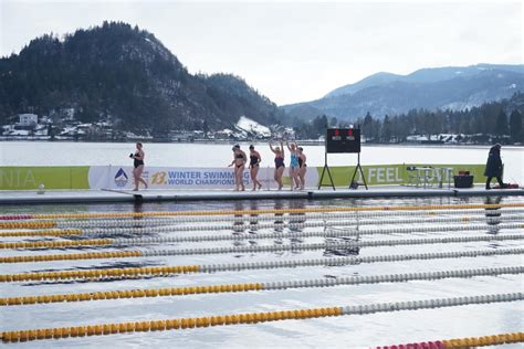 Bluetits Chill Swimmers Brave Freezing Waters At Lake Bled Slovenia