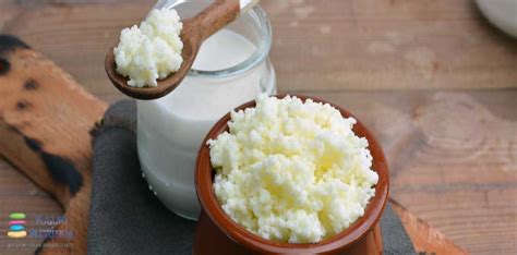 Easy Homemade Fermented Yogurt The Best Simple Recipe