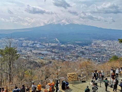 Tokyo To Mount Fuji A Complete Day Trip Guide For You