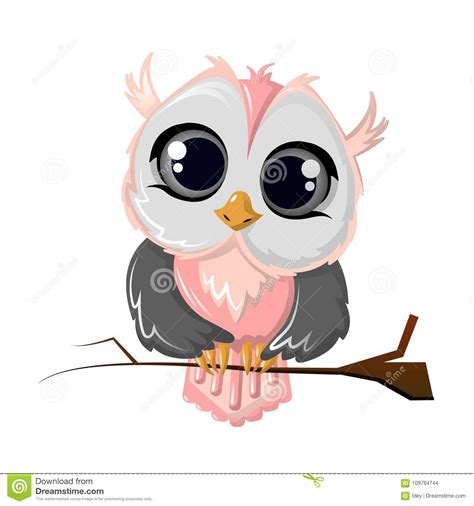 Owl Bird Cartoon Images
