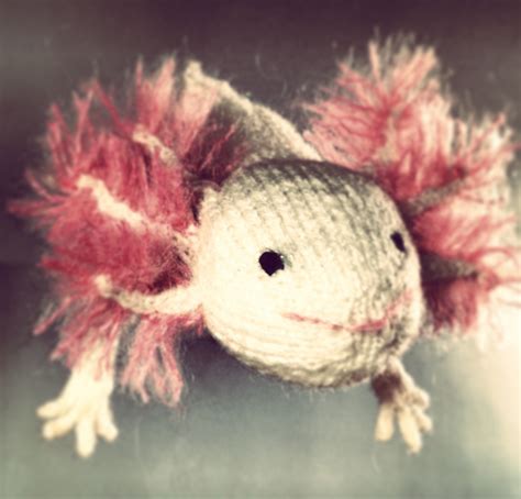 Knitted Axolotl Pattern Maxs World