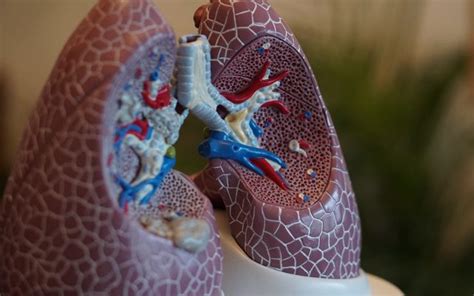 5 Early Warning Signs That You Might Have Lung Cancer