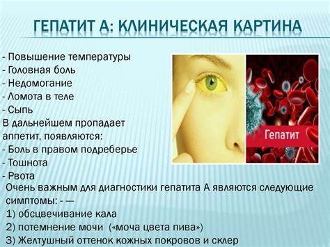 Энтеральные гепатиты что это такое - фото презентация Картинка - Энтеральные гепатиты что это такое - фото презентация