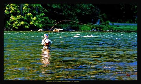 Fly Fishing For Salmon Campbell River Strathcona Vancouver Island