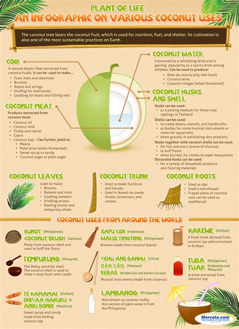 Other Uses For Coconut Infographic Naturalon Natural Health News