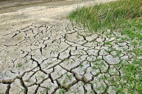 Drylands To Become More Abundant Less Productive Due To Climate Change