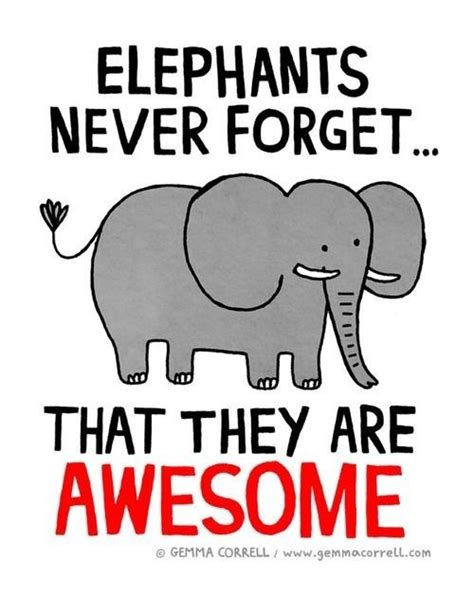 Elephants Dont Forget Elephants Never Forget Elephant Quotes Elephant