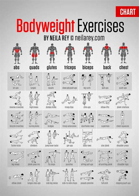 Get Fit Without Weights Bodyweight Exercises Chart Daily Infographic