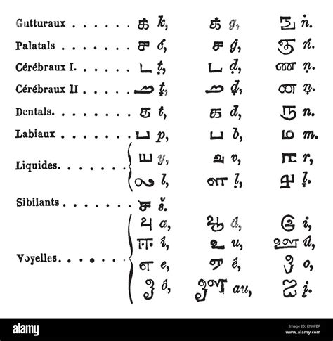 Tamil Language Alphabets Vintage Engraving Old Engraved Illustration