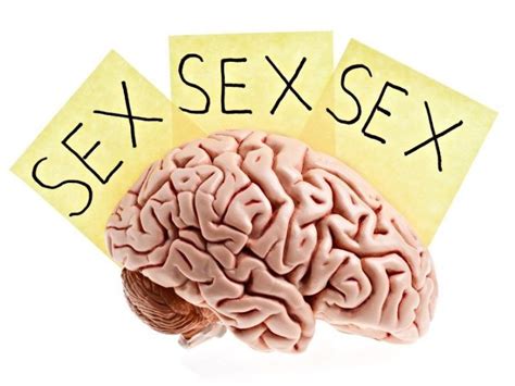 Textos Funcionales Mapa Mental Porn Sex Picture My Xxx Hot Girl