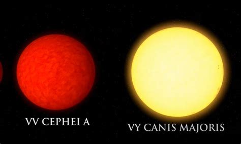 Now Vv Cephei Vs Vy Canis Majoris Astronomy Natural Phenomena