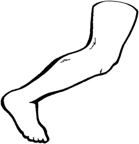 Leg Anatomy Coloring Page Coloring Pages