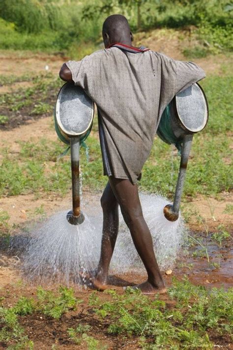Farmer Watering Crops Near Lome Togo West Africa All About Africa