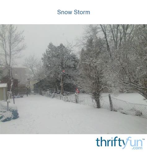 Snow Storm Brockville Ontario Thriftyfun