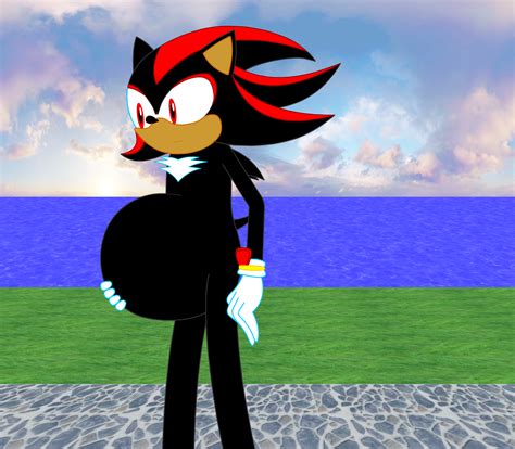Pregnant Shadow The Hedgehog Quotes Type