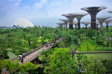 Green Mashup The Rise Of Biophilic Cities Sustainable City
