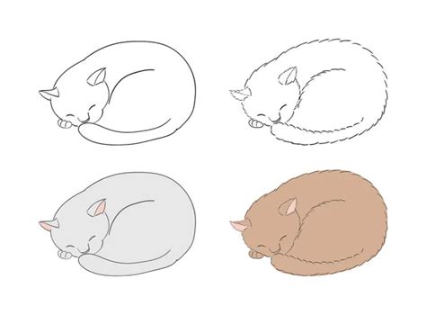 Curled Up Cat Royalty Free Curled Up Cat Vector Images And Drawings