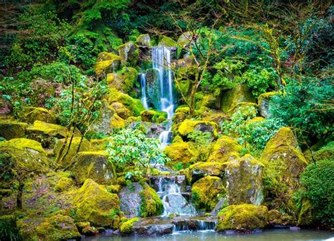 Portland Japanese Garden Updated 2021 All You Need To Know Before You